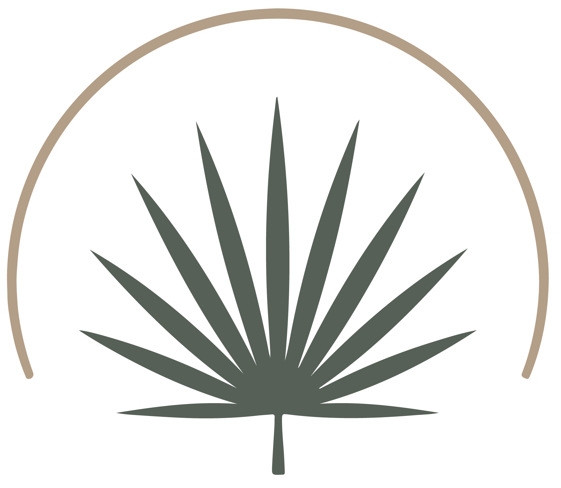 Palmetto Logo Mark